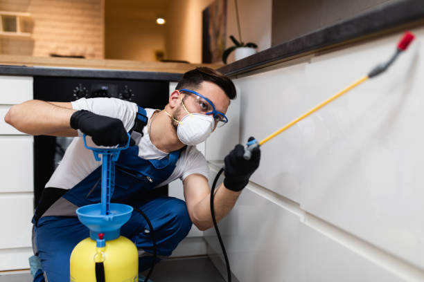 Best Pest Removal Services  in Saucier, MS