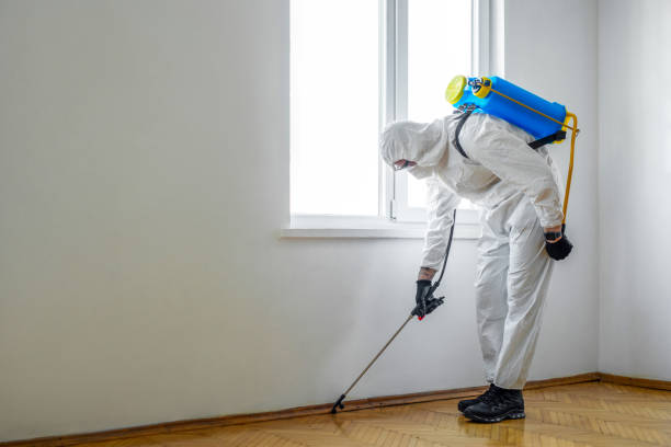 Best Cockroach Control Services  in Saucier, MS
