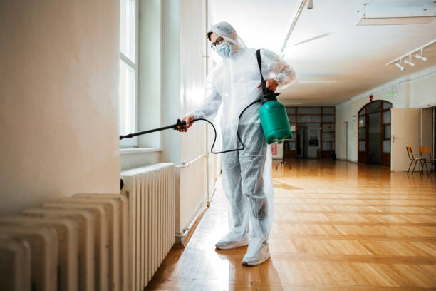 Best Best Pest Control Companies  in Saucier, MS