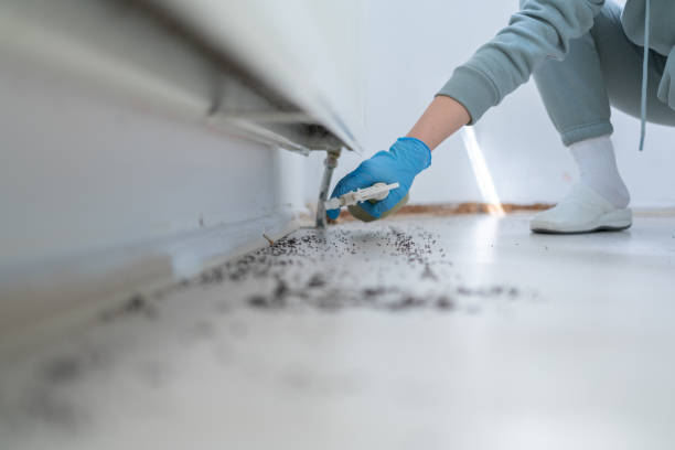 Best Wildlife Control Services  in Saucier, MS